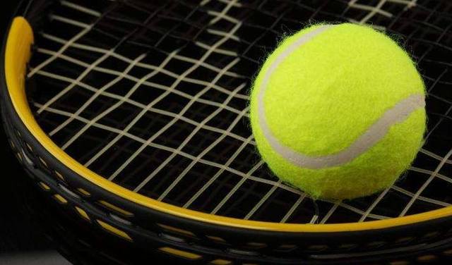 态决策的艺 态决策的艺